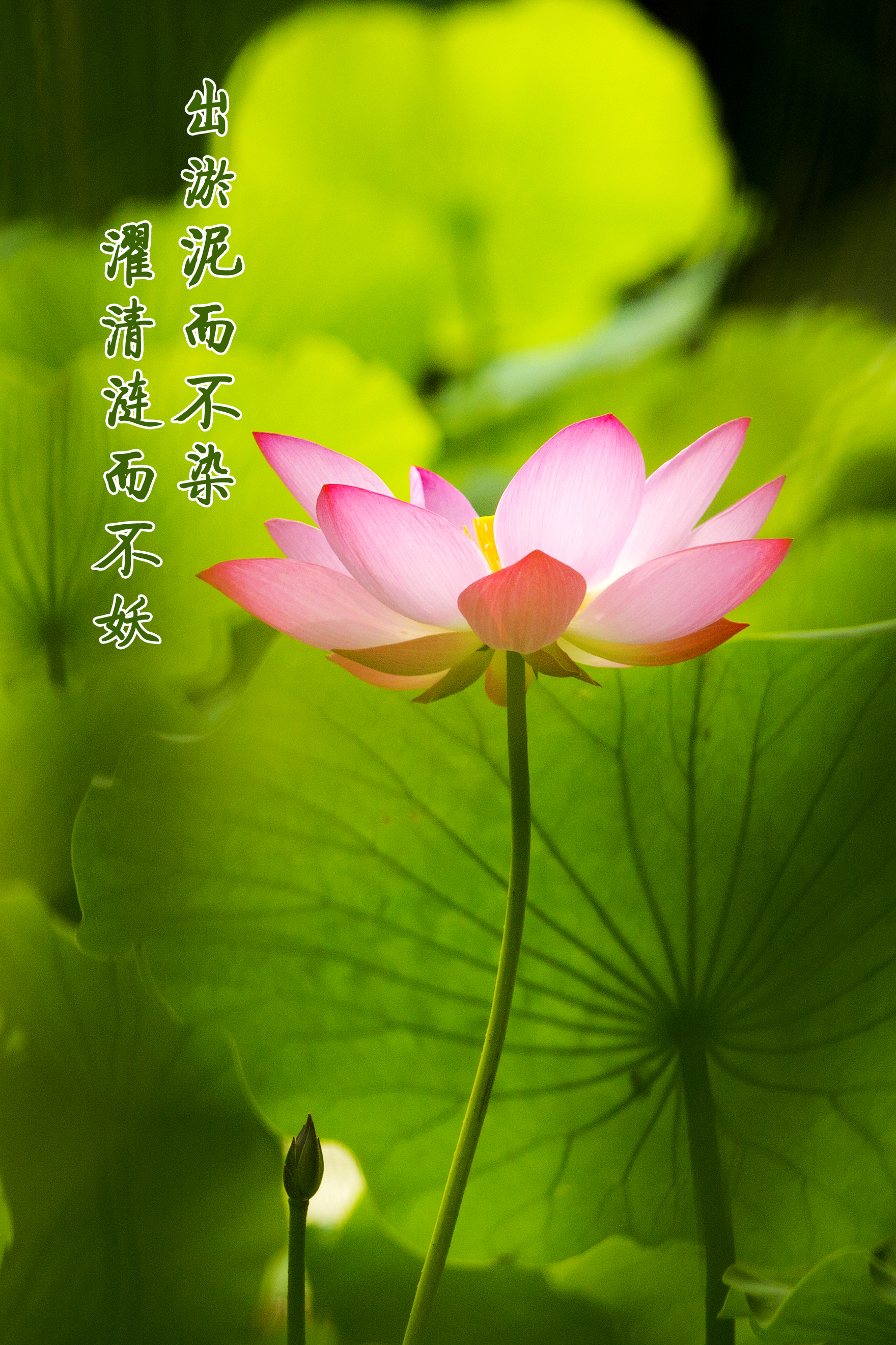 多彩同盟·(中国区)官方网站入口