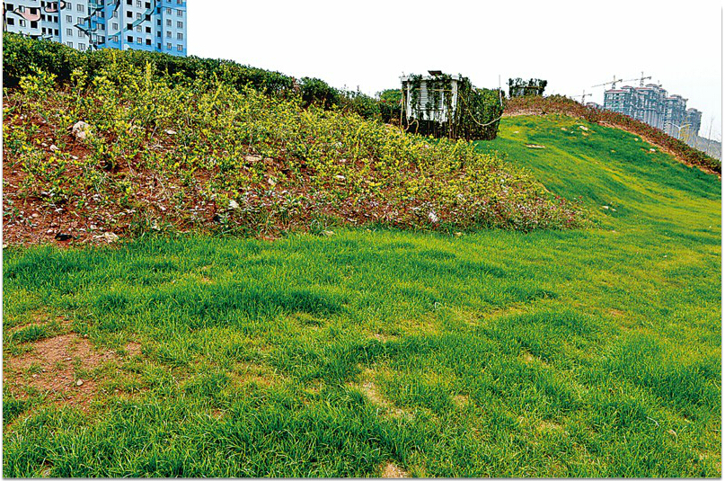 多彩同盟·(中国区)官方网站入口