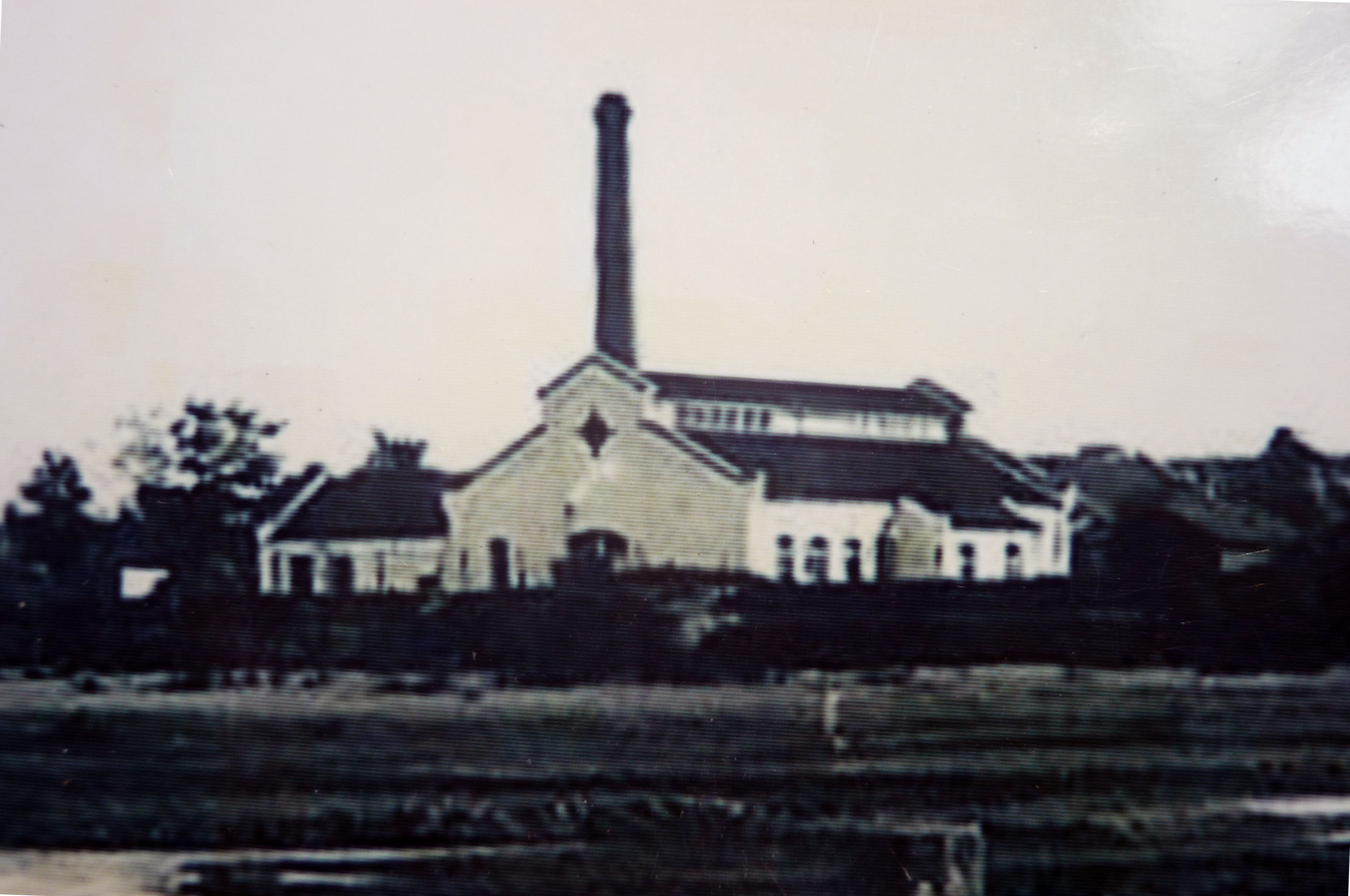 多彩同盟·(中国区)官方网站入口