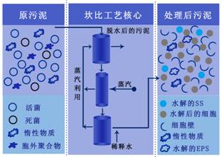 多彩同盟·(中国区)官方网站入口
