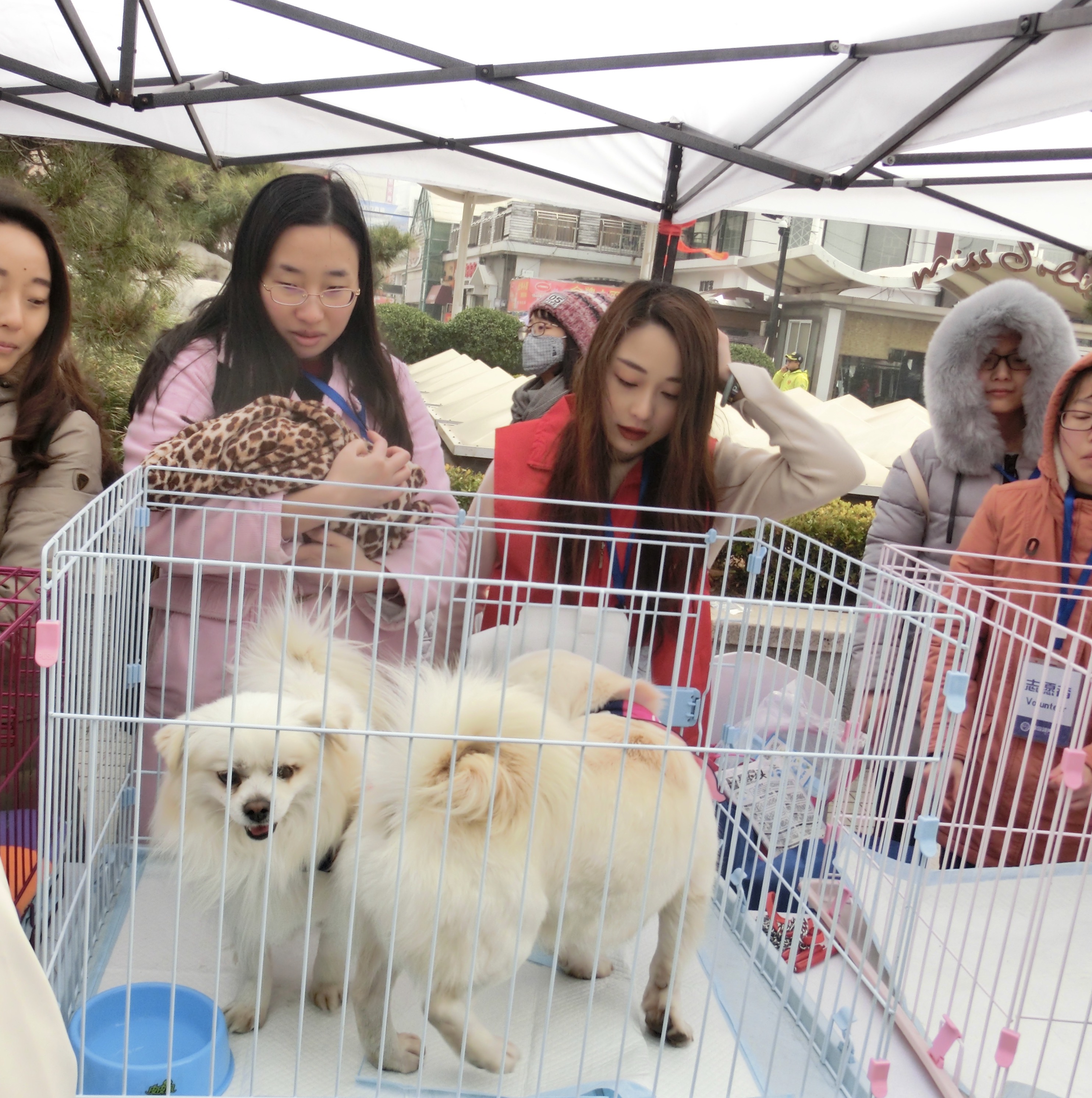 多彩同盟·(中国区)官方网站入口