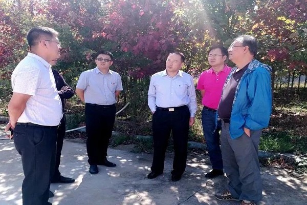 多彩同盟·(中国区)官方网站入口