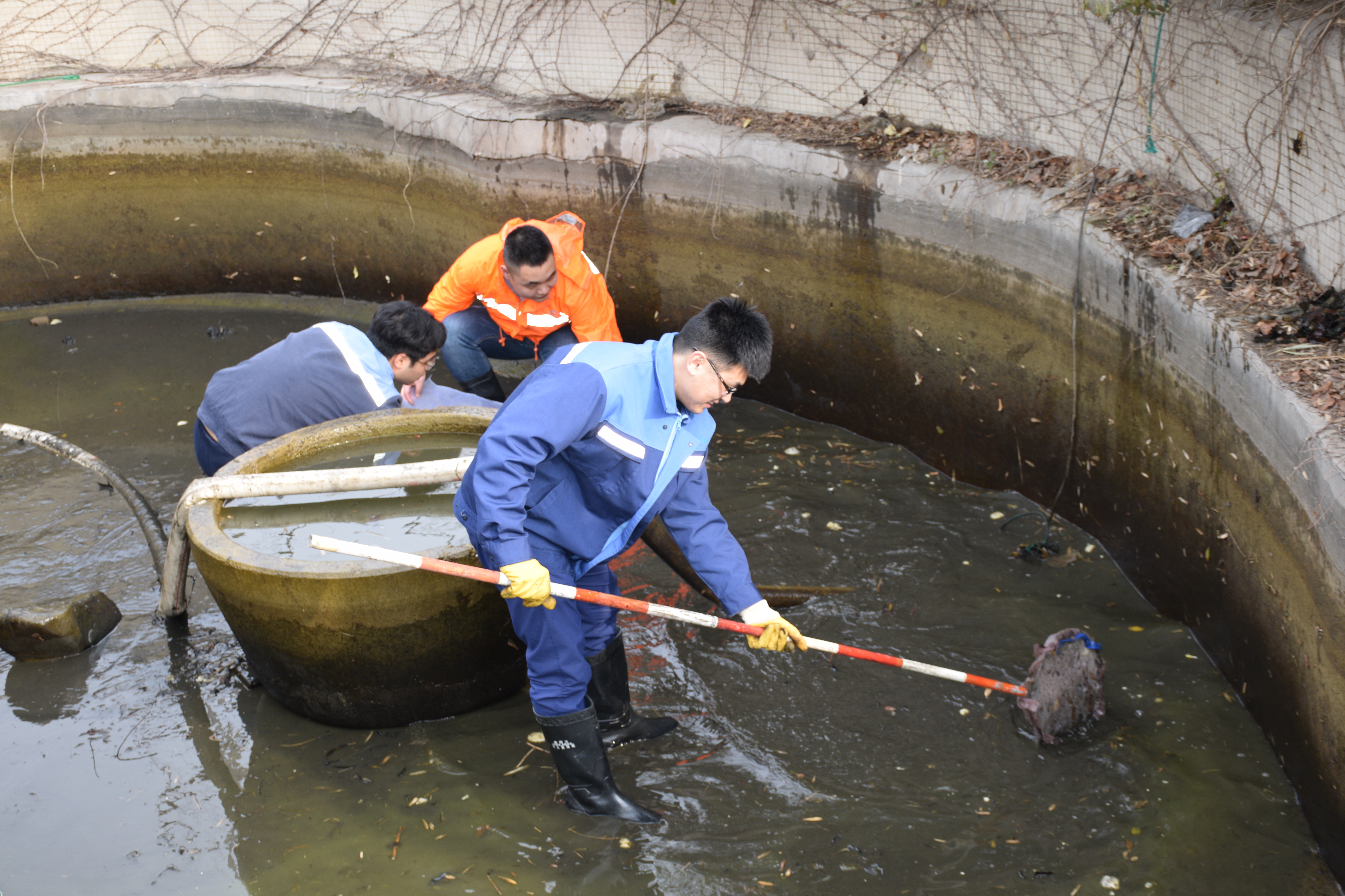 多彩同盟·(中国区)官方网站入口