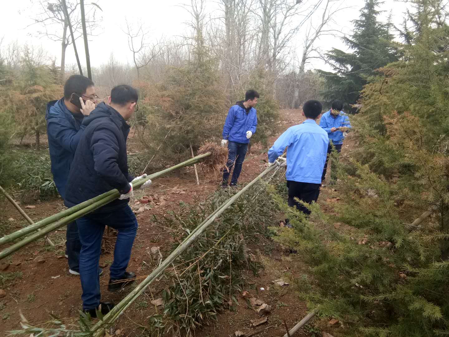 多彩同盟·(中国区)官方网站入口